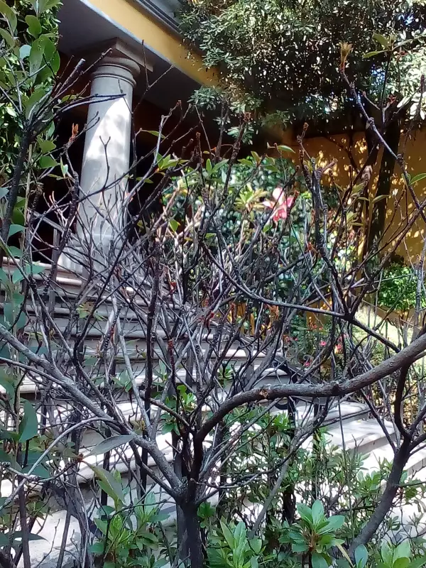 La definición de la cámara frontal es de alta calidad.