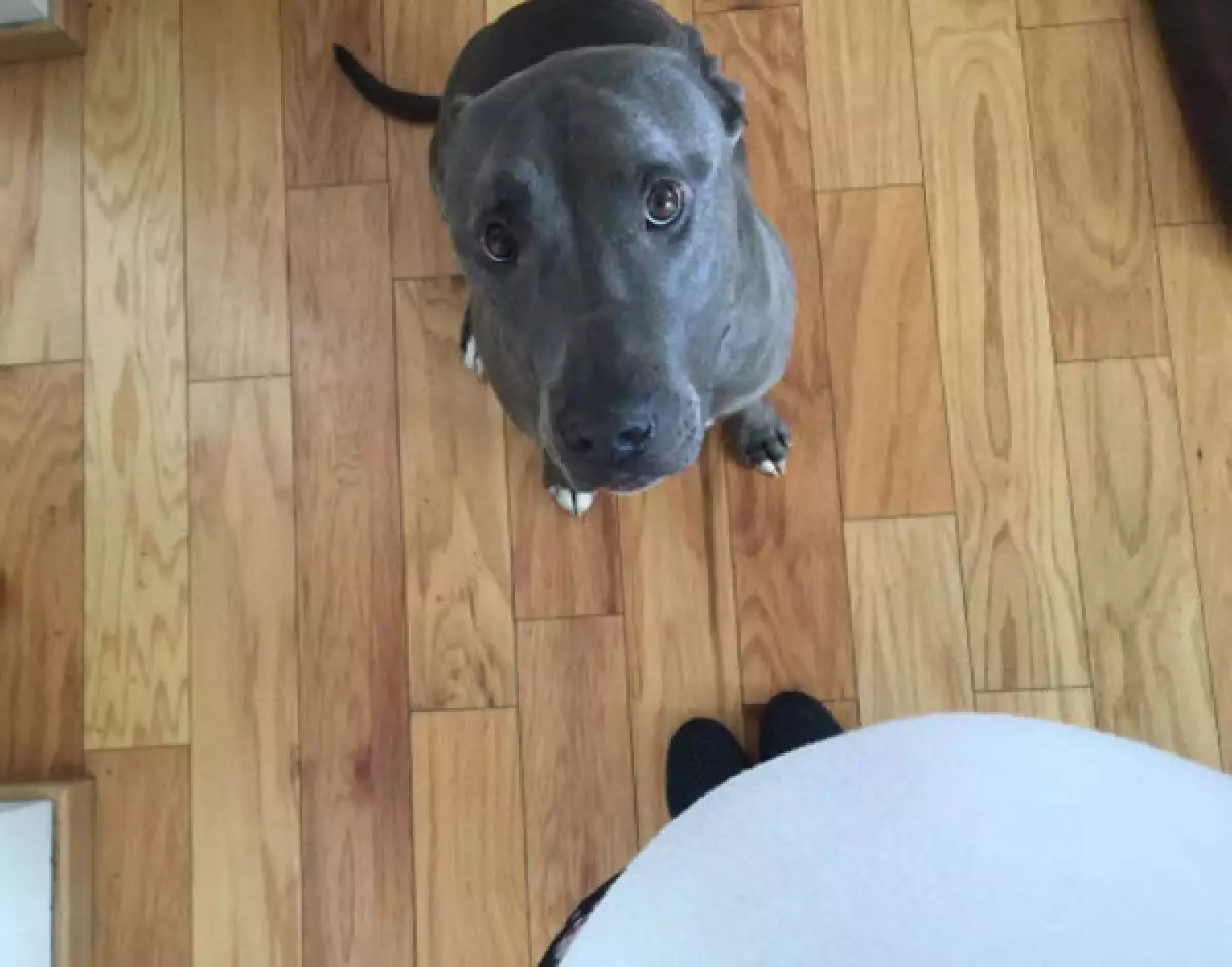 El baby bump de Zuria ya se ve muy grande.