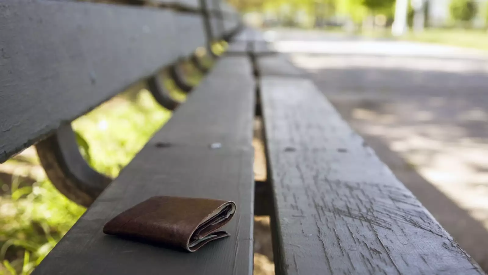 GALE. cartera olvidada parque