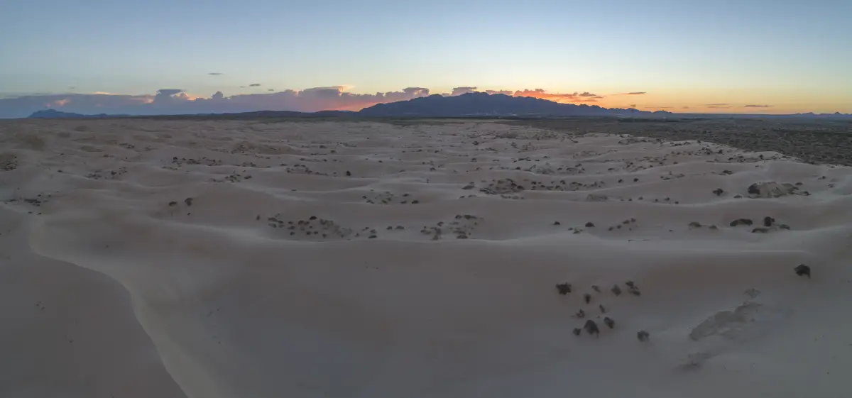 Chihuahua dunas 