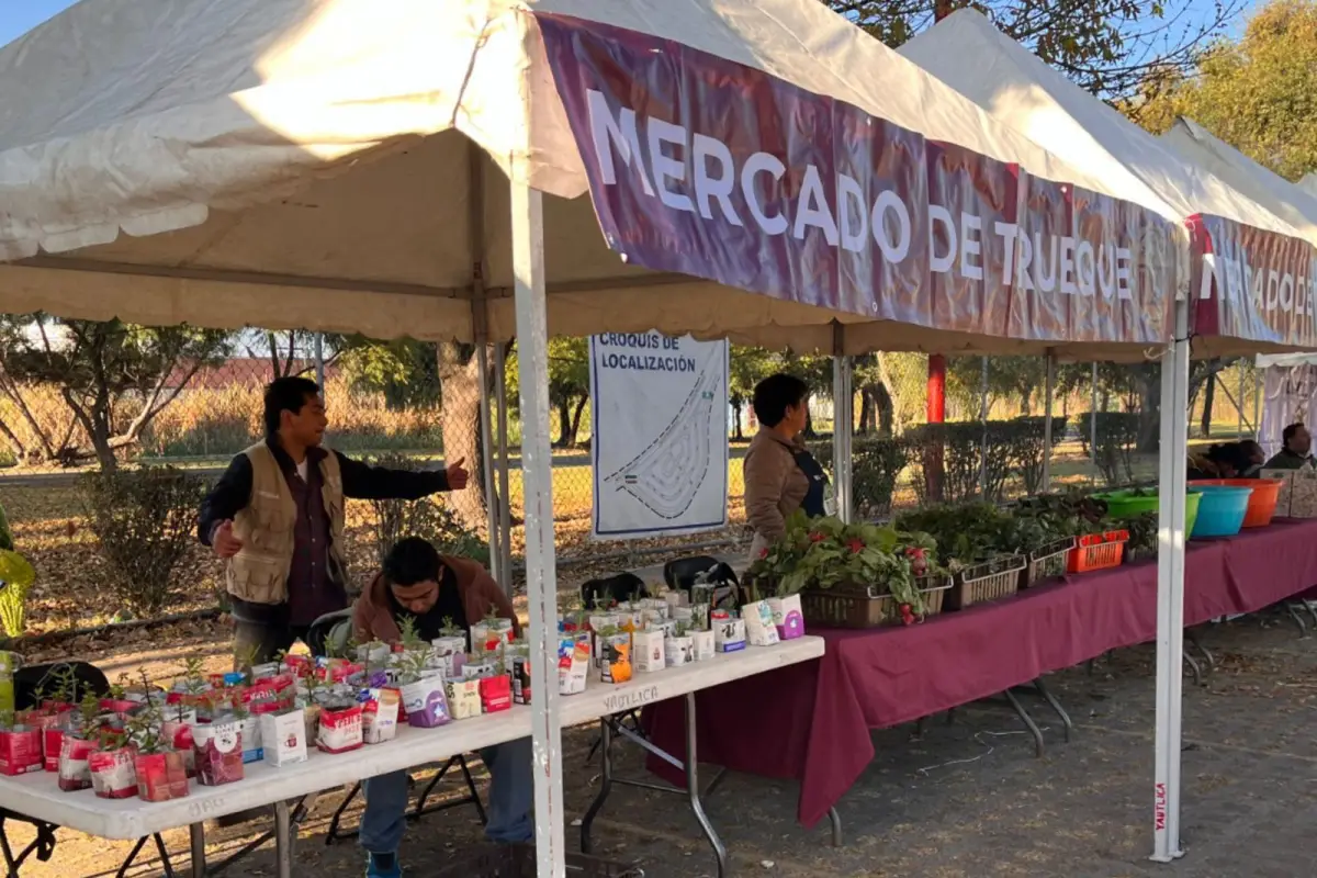 mercado-trueque-cdmx-2025.jpeg