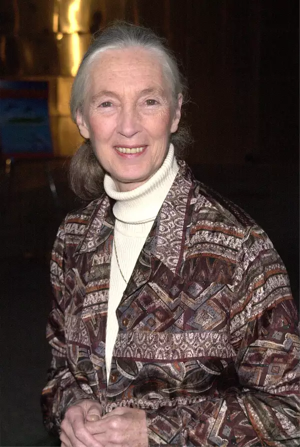 Jane Goodall At Dolphins Premiere