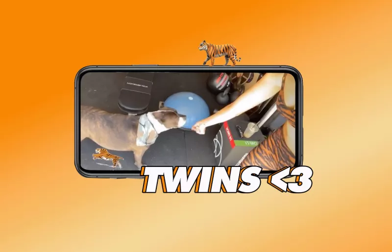 outfit-perro-eiza-gonzalez