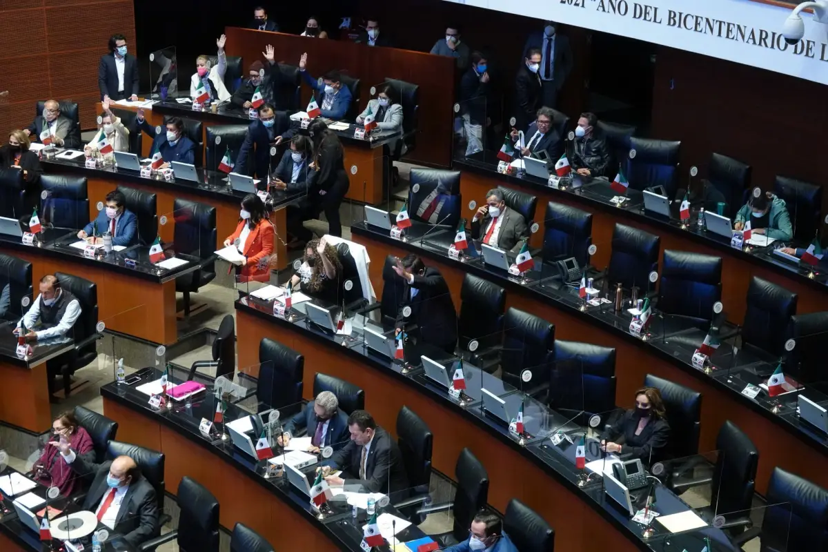 El Senado aprobó la Ley de revocación de mandato y da varios lineamientos, como fecha y la pregunta. 