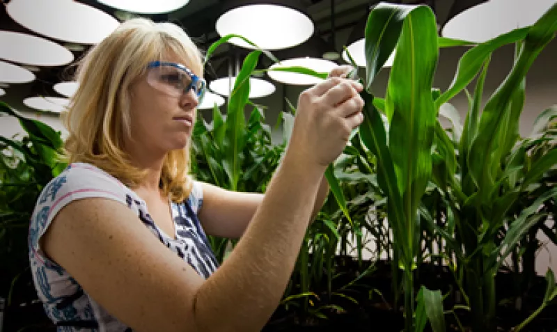 La empresa cerrará un total de 3,600 plazas de trabajo. (Foto: Getty Images)