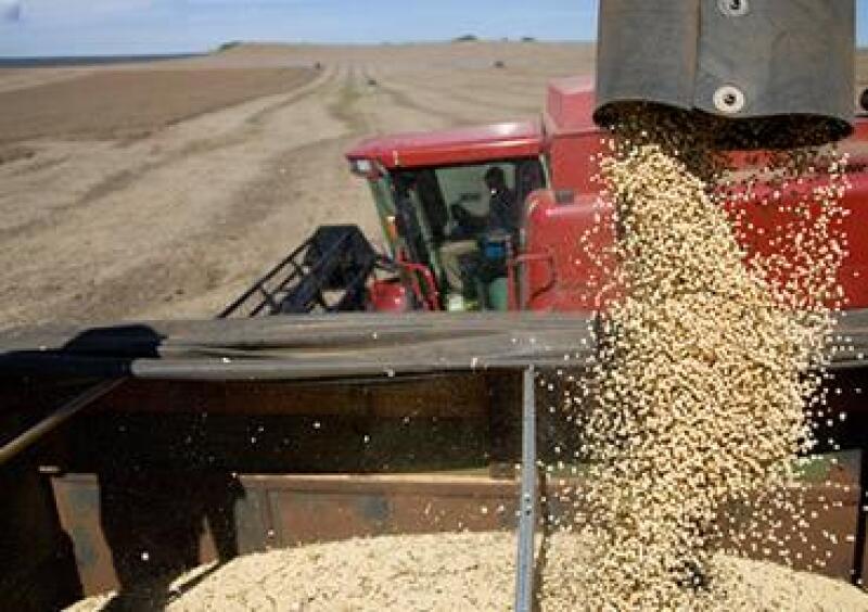 Soya