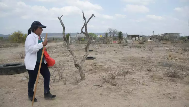 Dolores Bazaldua, mother of Debanhi Susana Escobar, takes part in a search with friends and people in an area after the disappearance of Debanhi, in Monterrey