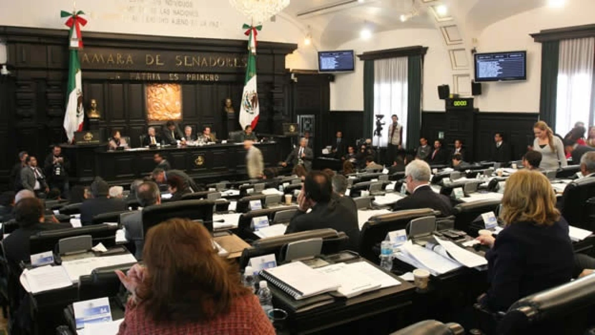 senado-terna