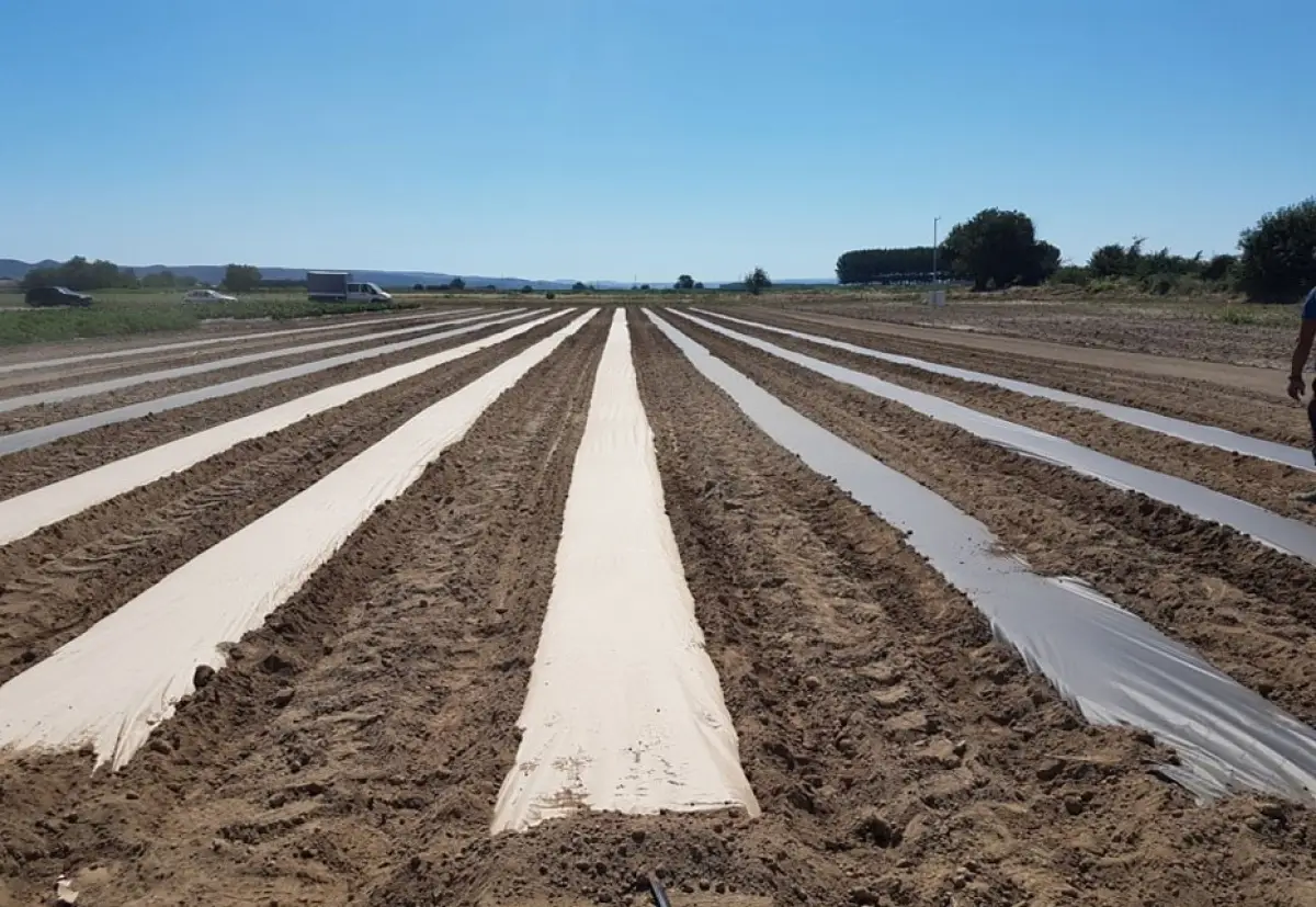 AgroPaper