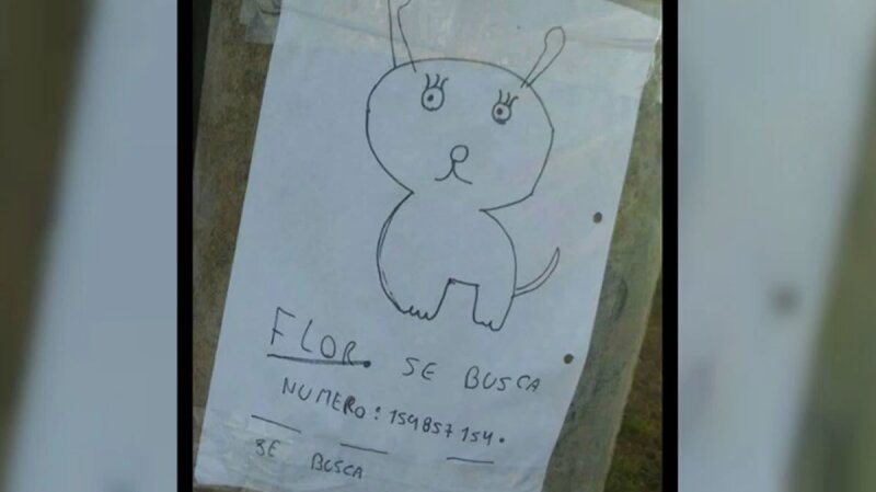 Mascota