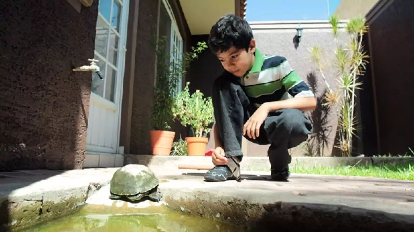 Luis Roberto Ramirez Alvarez con su tortuga