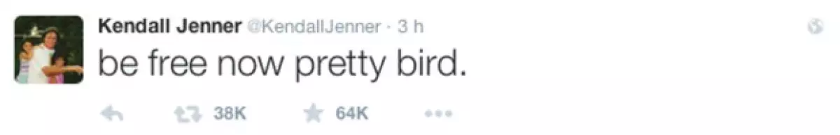 Kendall mostró el apoyo a su papá a través de un tuit y le pidió ser libre.