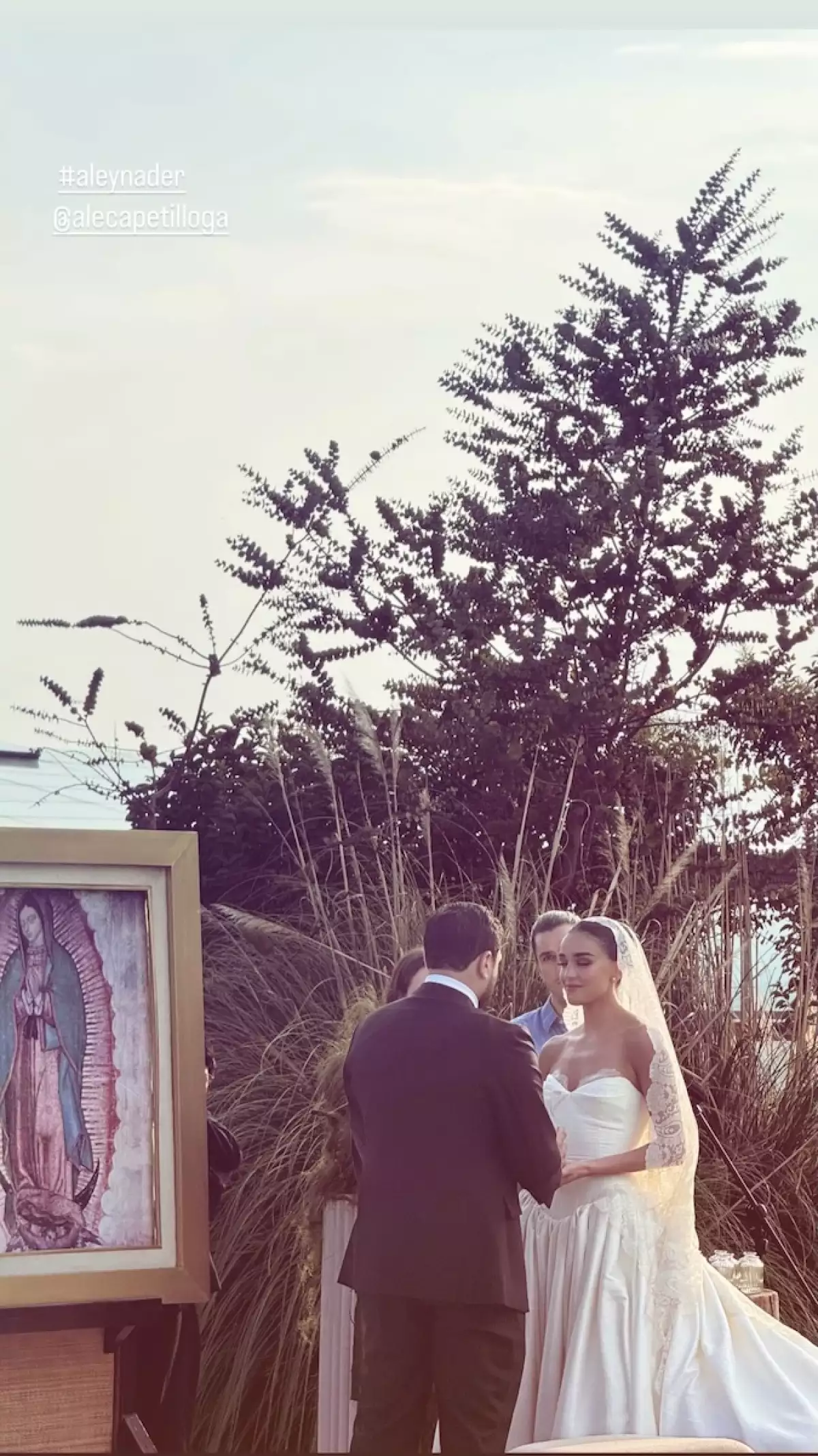 Boda de Alejandra Capetillo y Nader Shoueiry