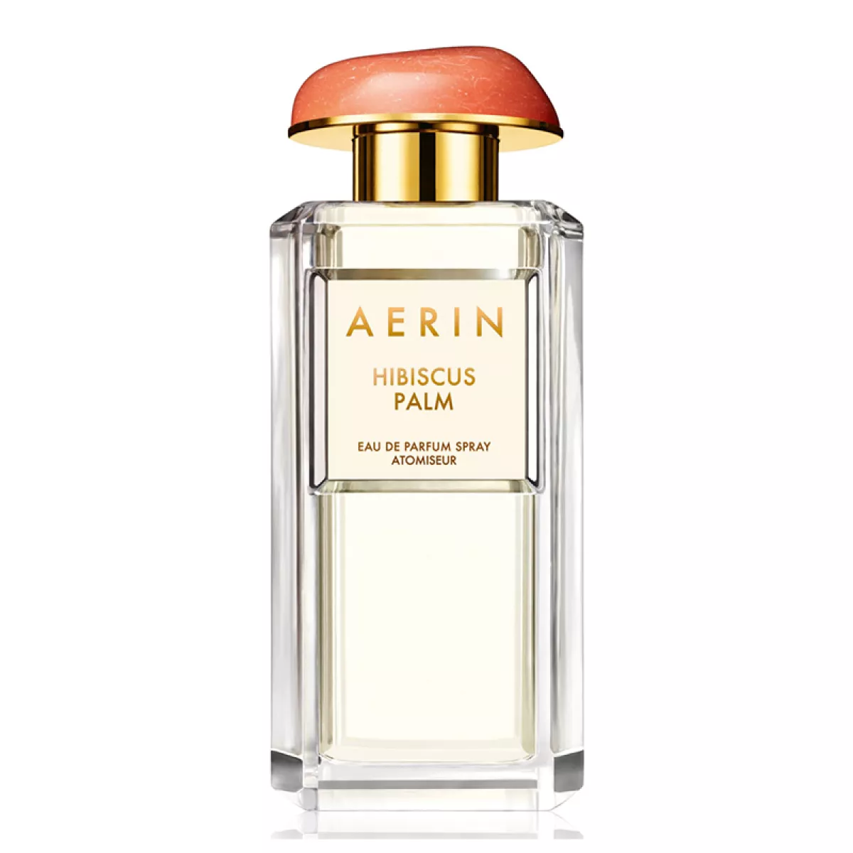 AERIN-Hibiscus-Palm.jpg