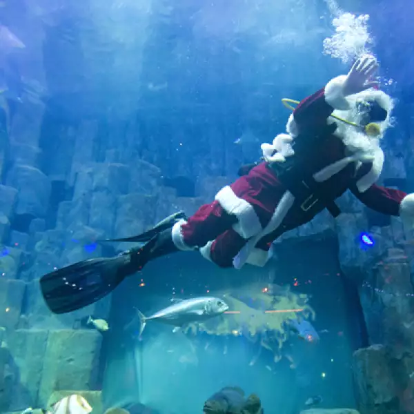 En el acuario de París, Francia, un buzo se disfrazó de Santa Clos para saludar bajo el agua a los niños que lo observaban desde fuera.