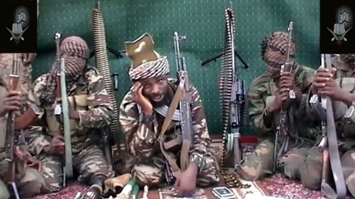 Boko Haram combatientes