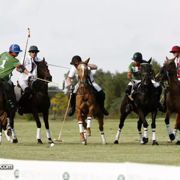 British Polo Day