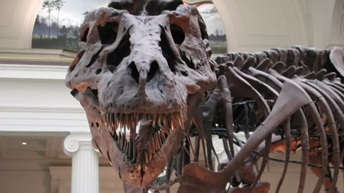 dinosaurio