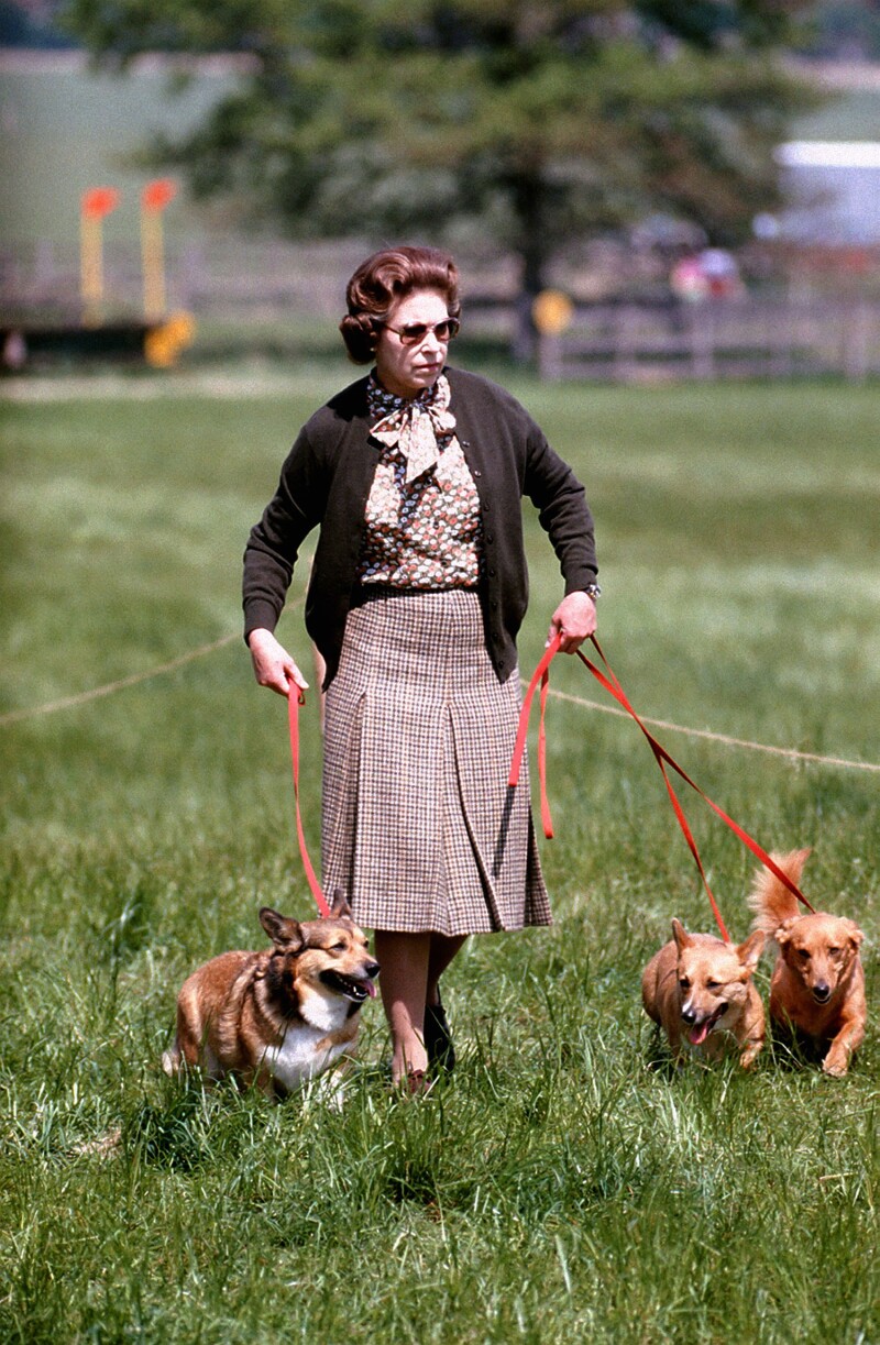 Isabel II y corgis