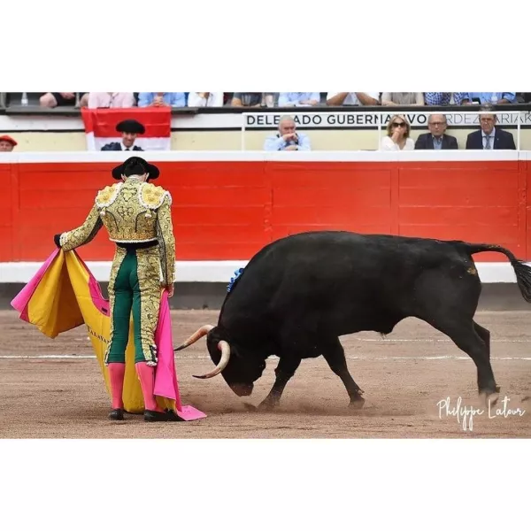 Alejandro Talavante