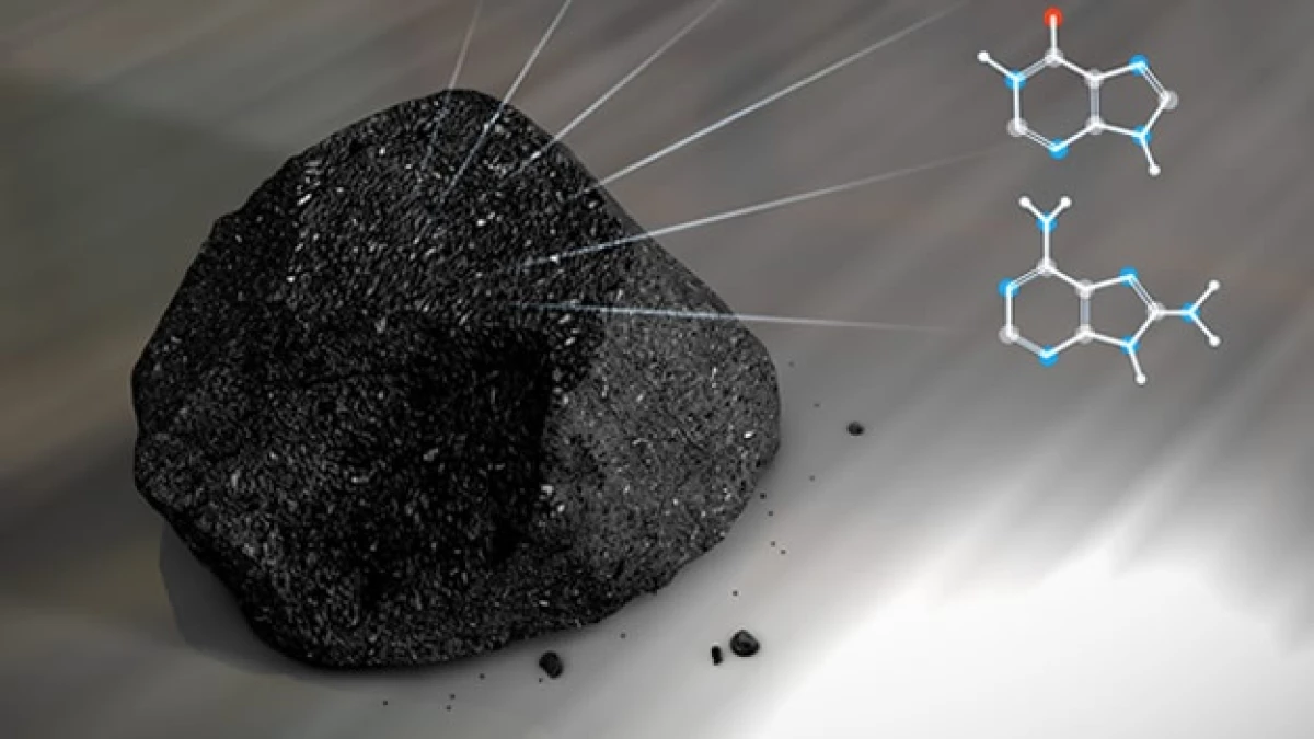 Nasa Meteoritos Vida