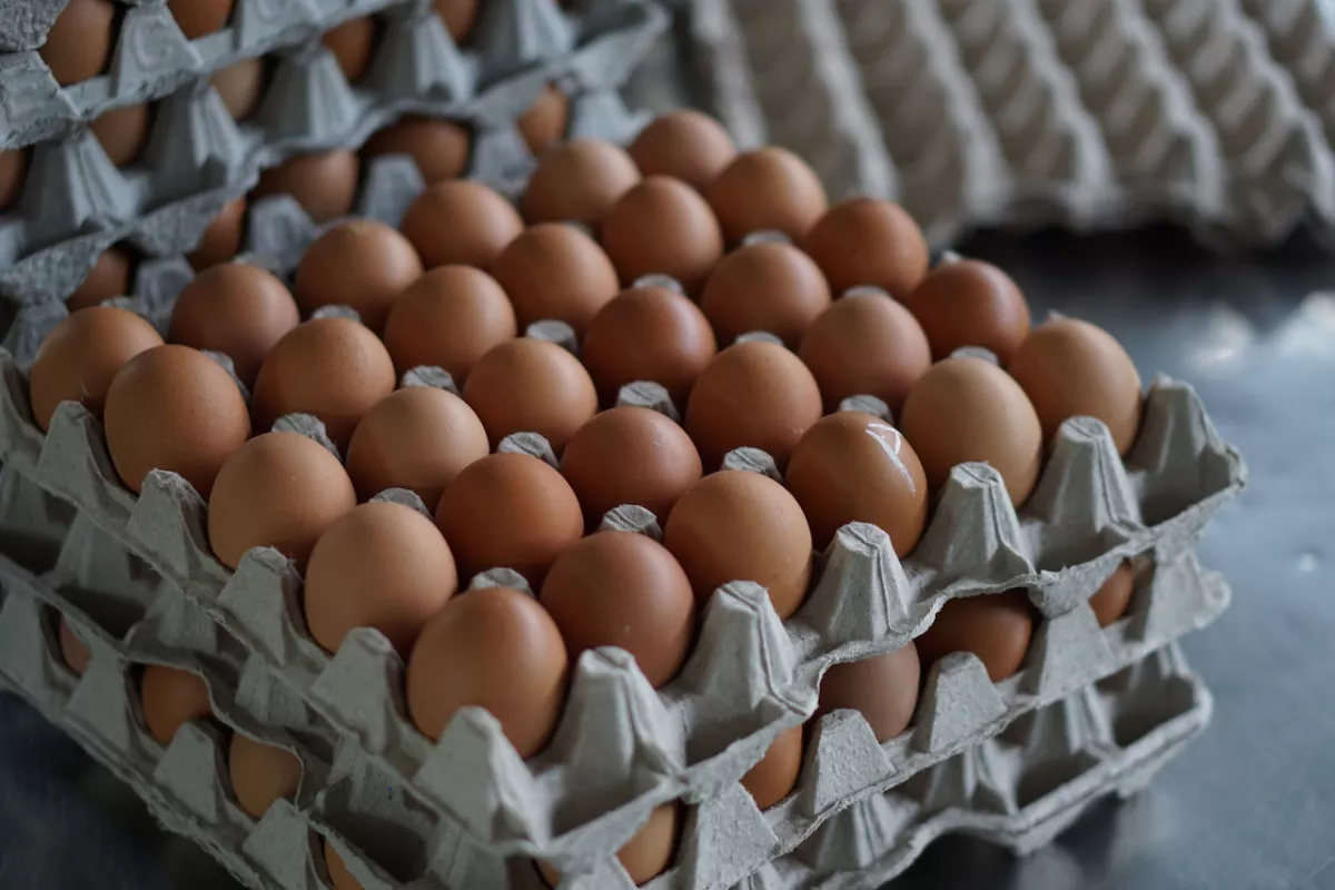 bachoco desliste BMV