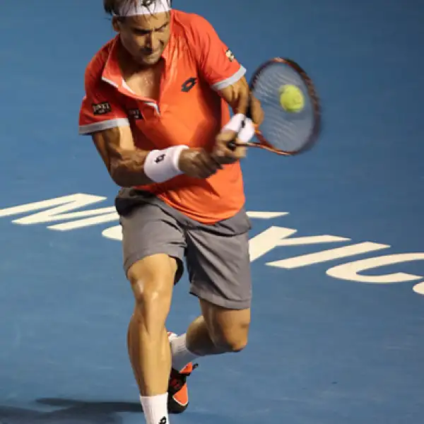 David Ferrer