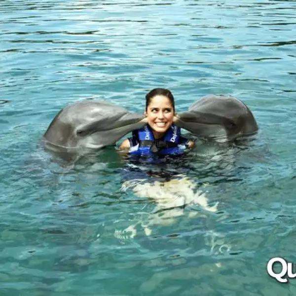 Ana Claudia Talancón rostro Delphinus