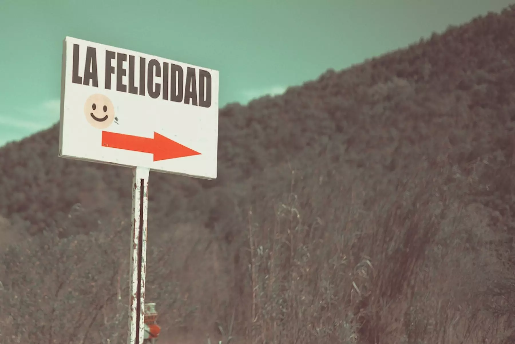 buenas-noticias.jpg