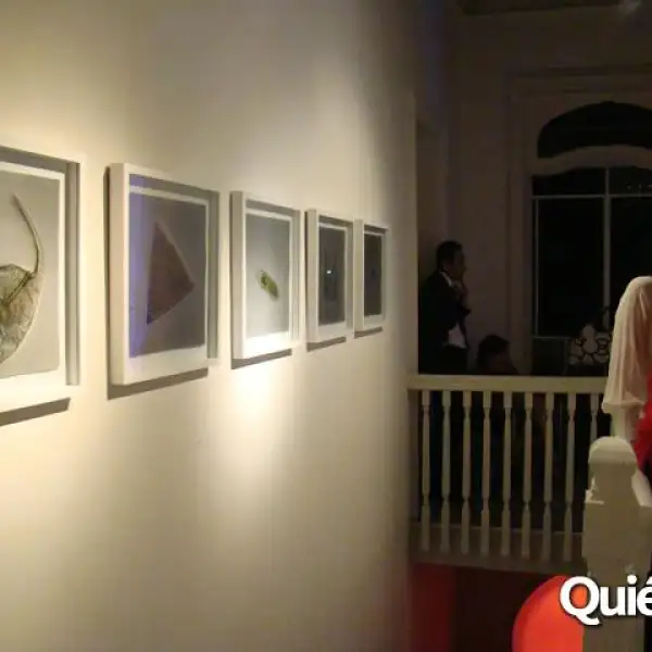 Galería Alejandra Frausto y TOCA