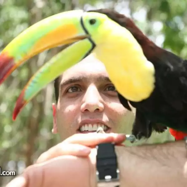 Jorge Emilio González en Cancún observa un tucán