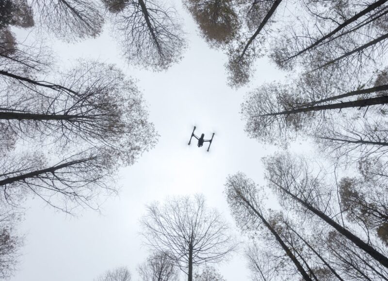 La mejores fotos de drones