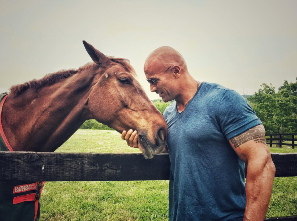 Dwayne Johnson 12