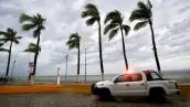 Viento de huracán sopla sobre palmeras junto a camioneta estacionada.