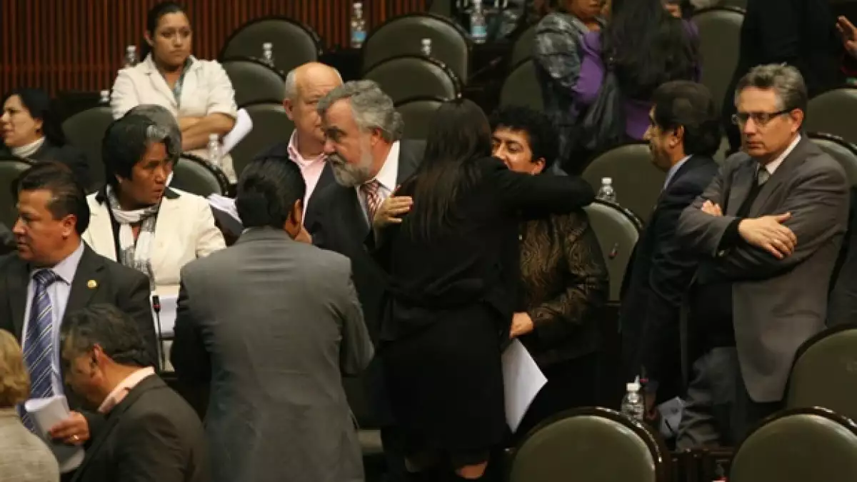cámara de diputados