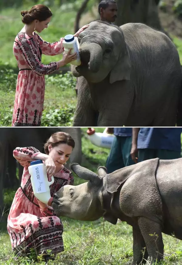Además, Kate se tomó el tiempo de alimentar a un rinoceronte y a un elefante.