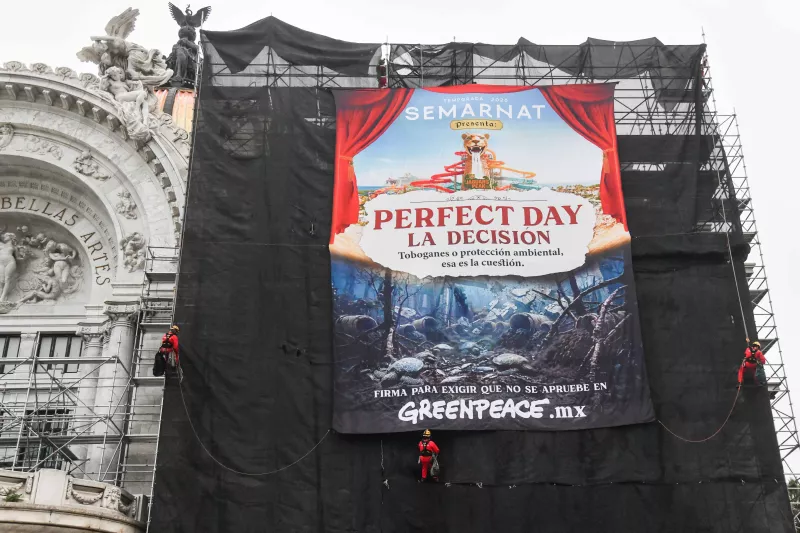 Greenpeace Bellas Artes
