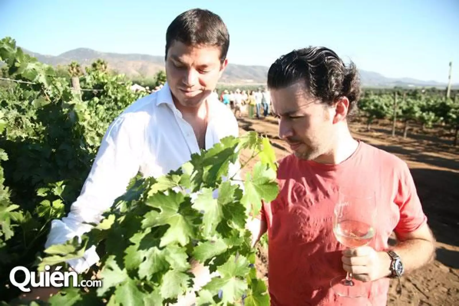 Vendimia Monte Xanic