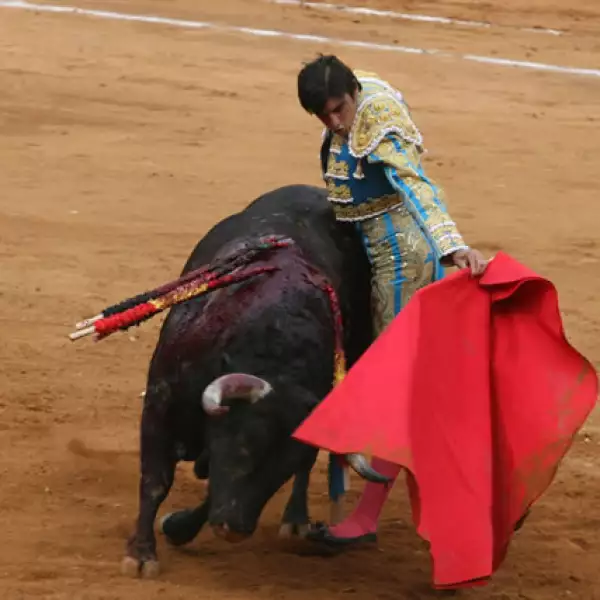 Corrida de Toros 15/02