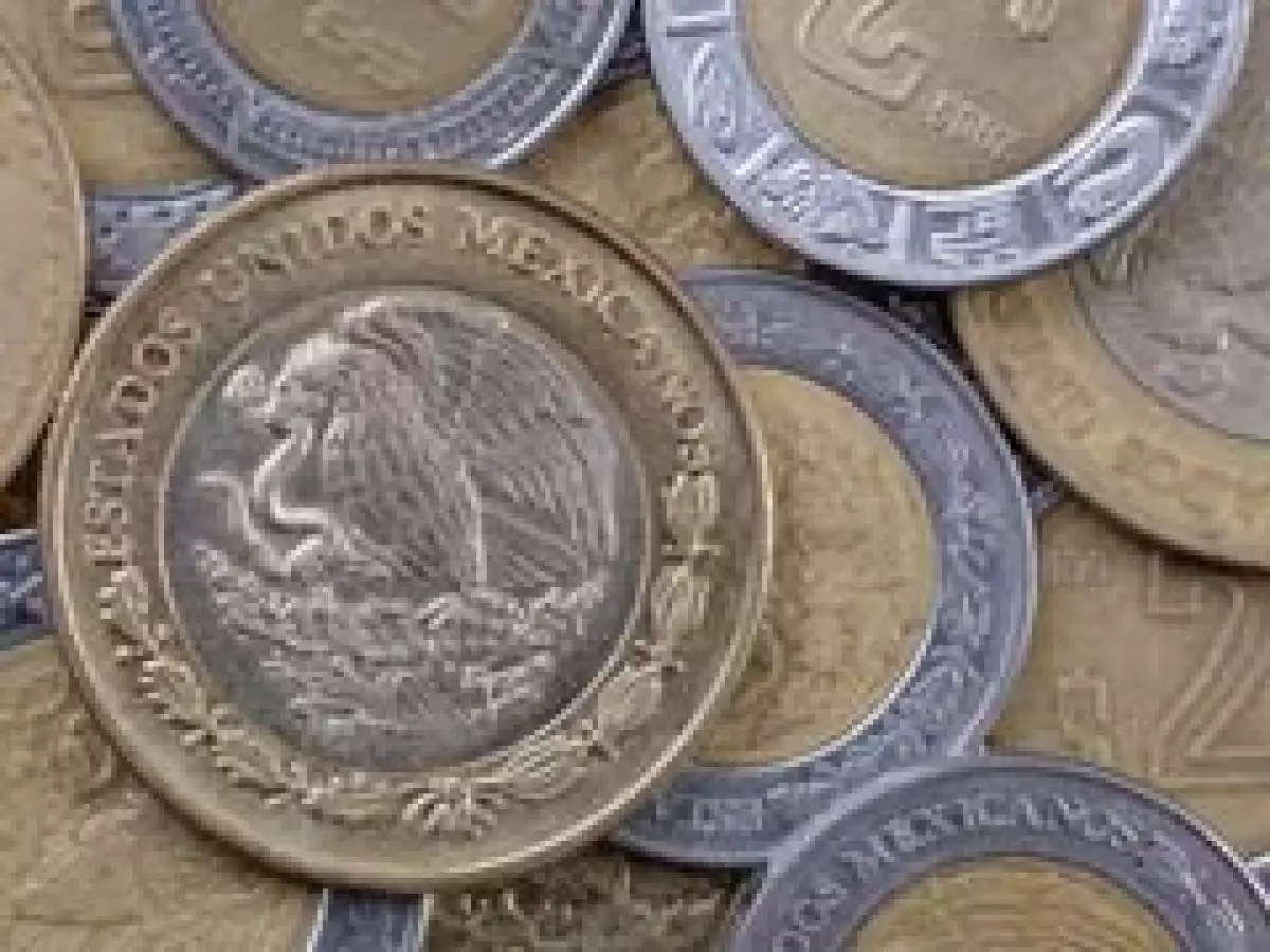 El tipo de cambio cerró la jornada de este martes con ganancias frente al peso. (Archivo)