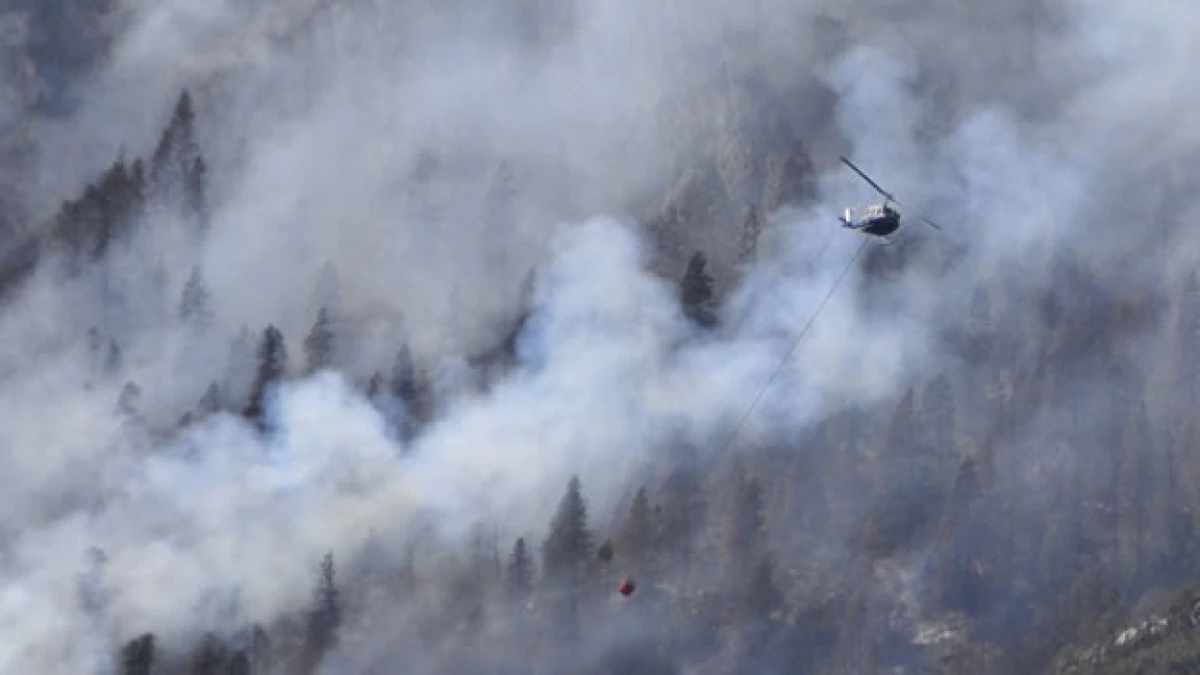 Incendios Coahuila