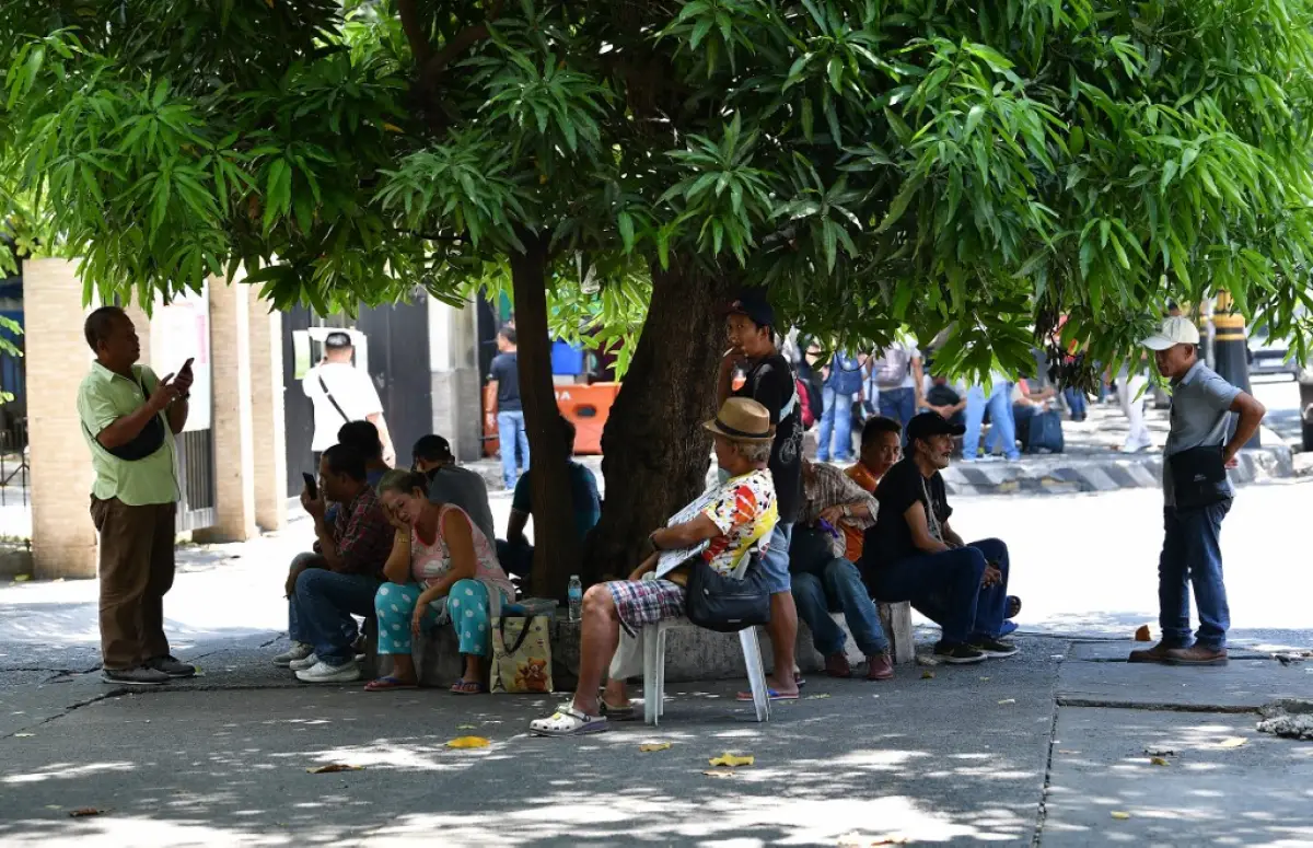 La gente se refugia bajo un árbol a lo largo de una carretera en Manila el 24 de abril de 2024, ya que el calor extremo afectó al país. El calor extremo quemó Filipinas el 24 de abril, lo que obligó a las escuelas de algunas áreas a suspender las clases presenciales y provocó advertencias para que las personas limitaran la cantidad de tiempo que pasan al aire libre.