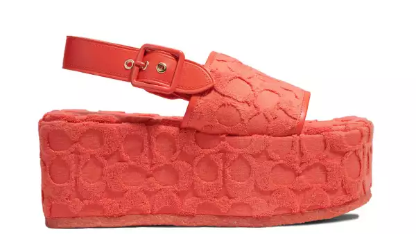 coach el palacio 5190.jpg