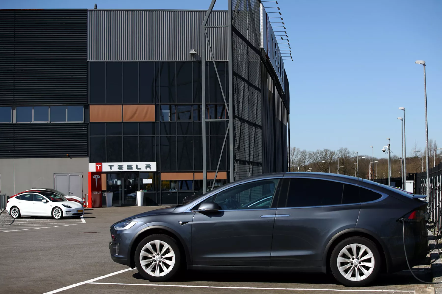 (Tesla Model X)