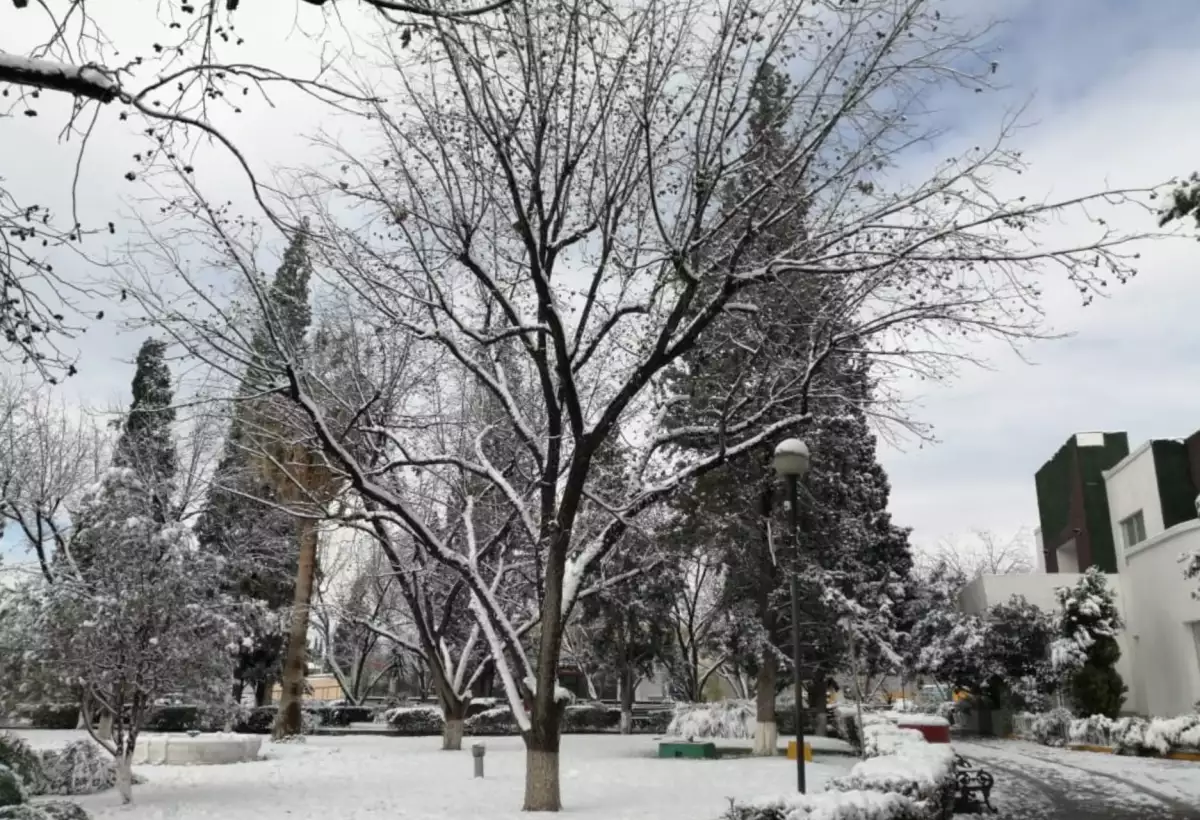 tormentas invernales 2021