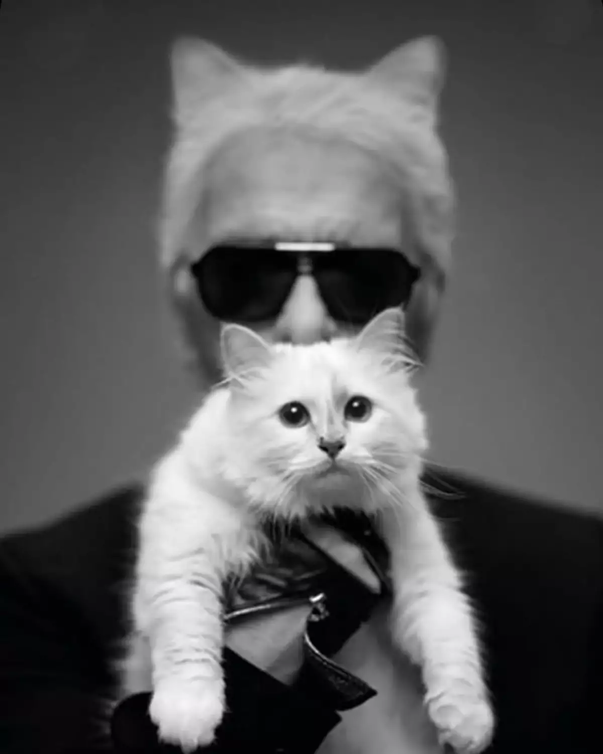 karl-lagerfeld-choupette-herencia.jpg