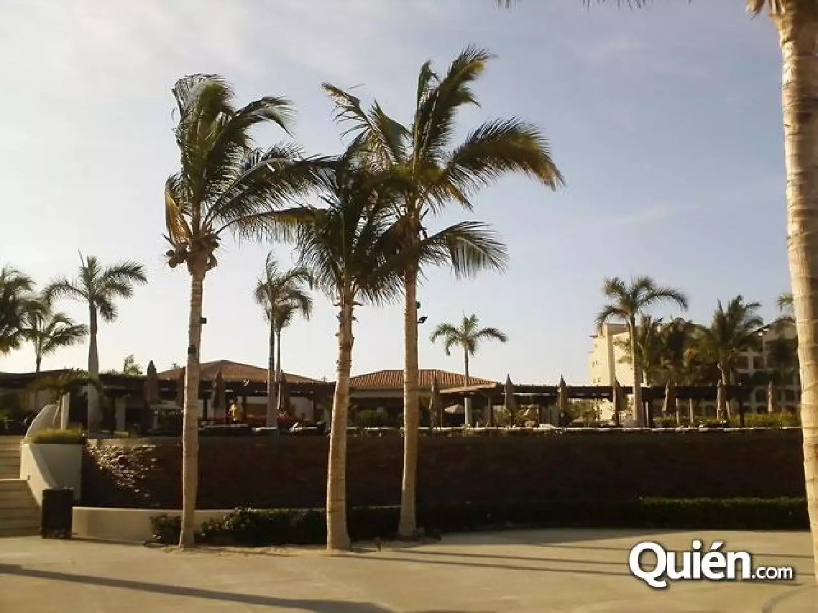 Boda Emiliano Zedillo y Daniela Campos.