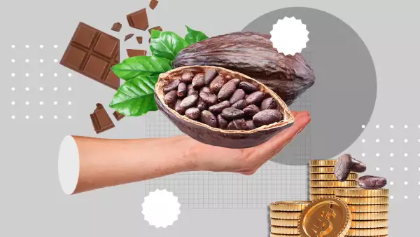 Precio del cacao en alza