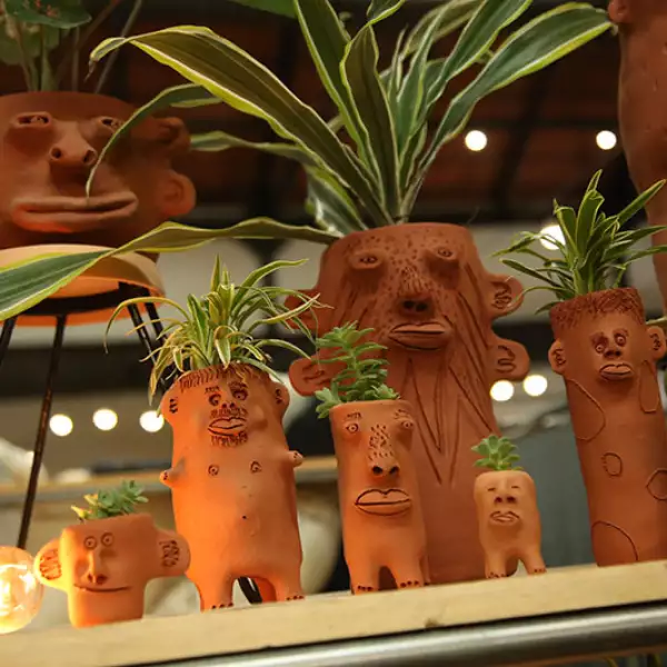 caravana-americana-cara-de-planta