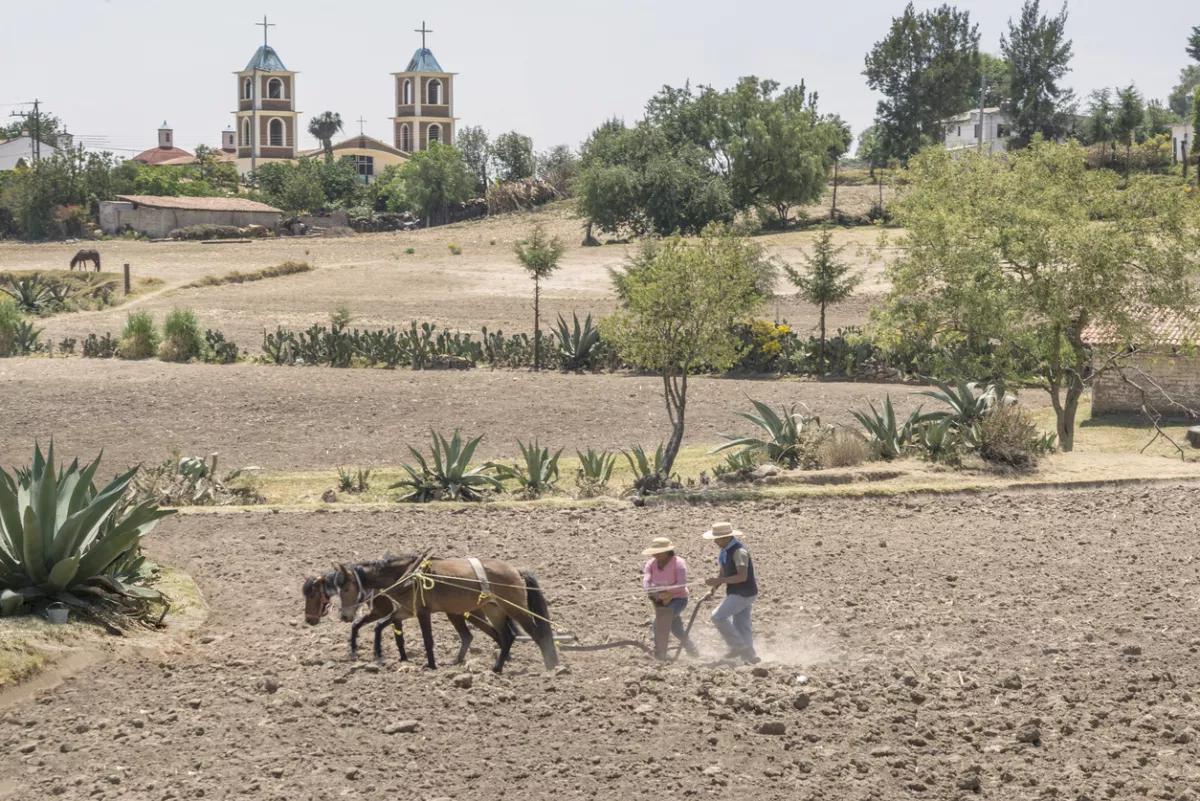 Precios garantizados
